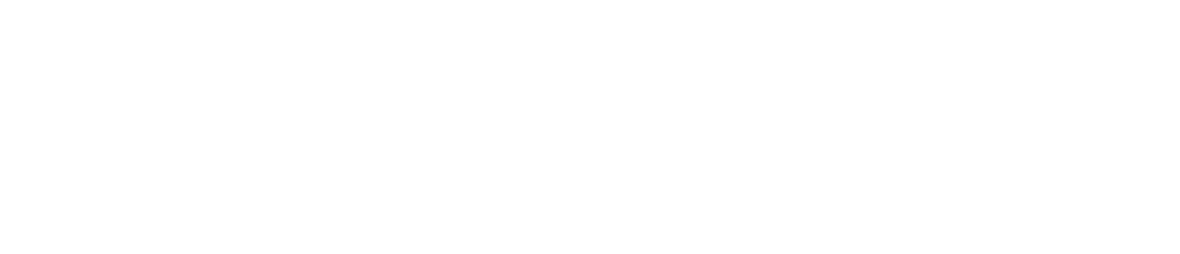 CastMiVote.org